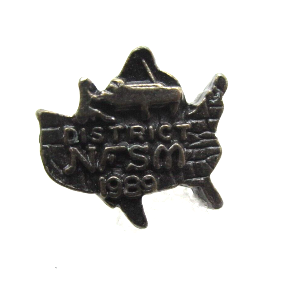 Vtg 1989 District NFSM Lapel Pin (C987)