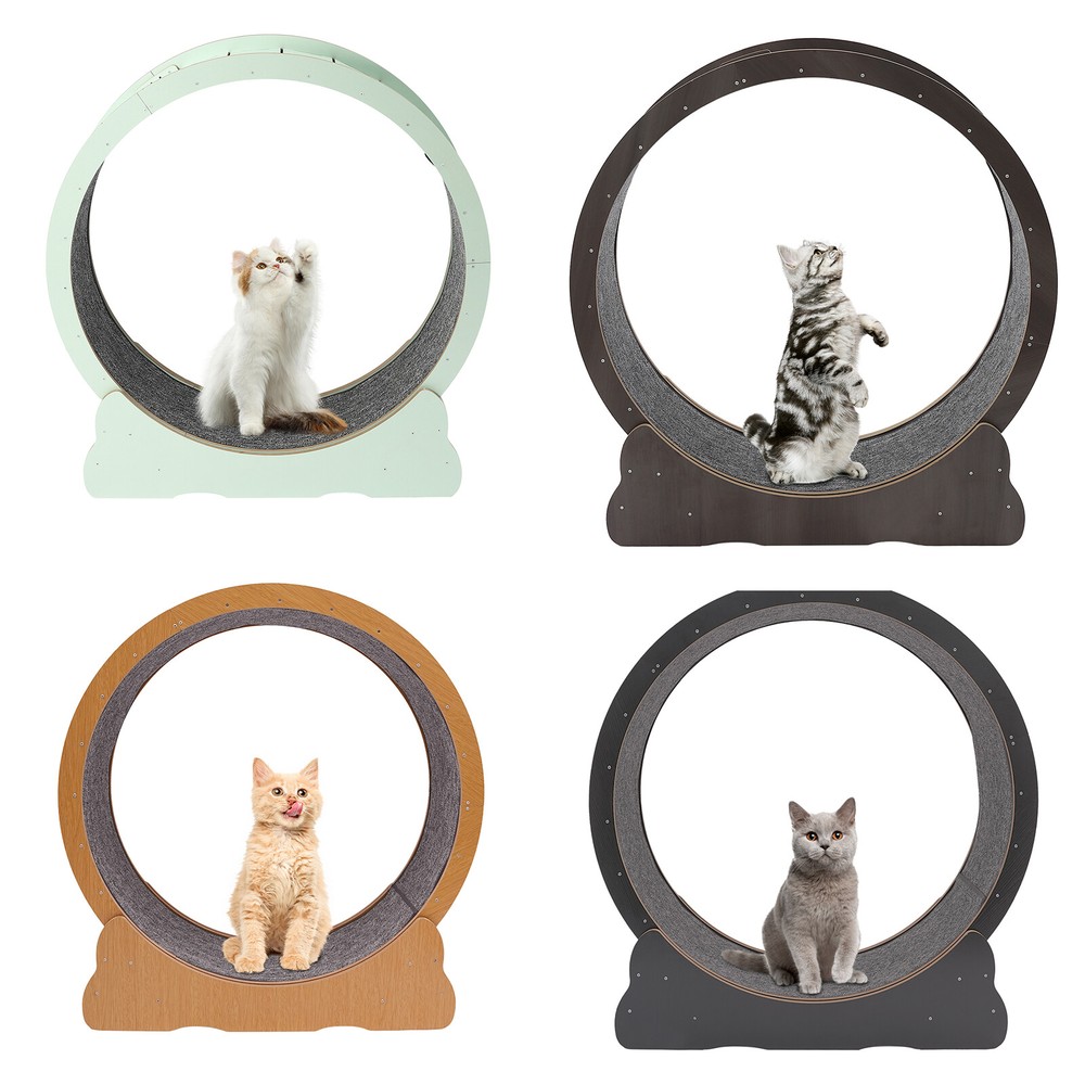 Modern Cat Exercise Wheel with Floor Mount for Indoor Cats