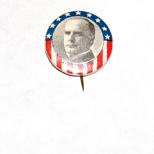 1900 WILLIAM MCKINLEY campaign pin pinback button political roosevelt president