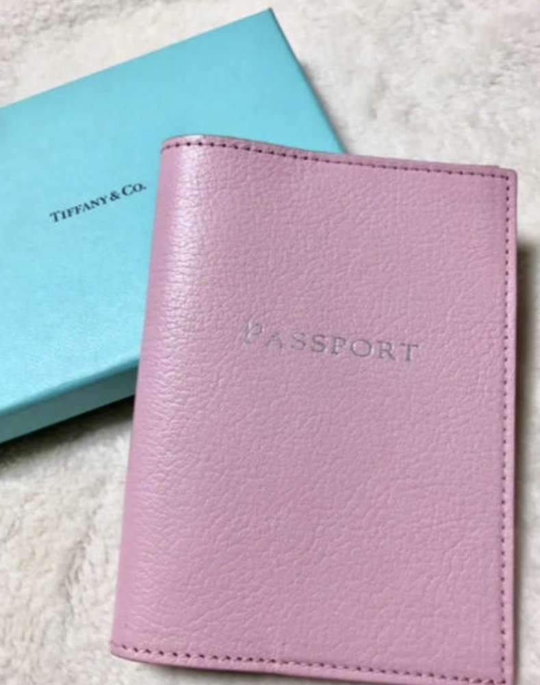 Tiffany &Co Travel Collection Passport Case/Width 10cm, Height 14cm with box