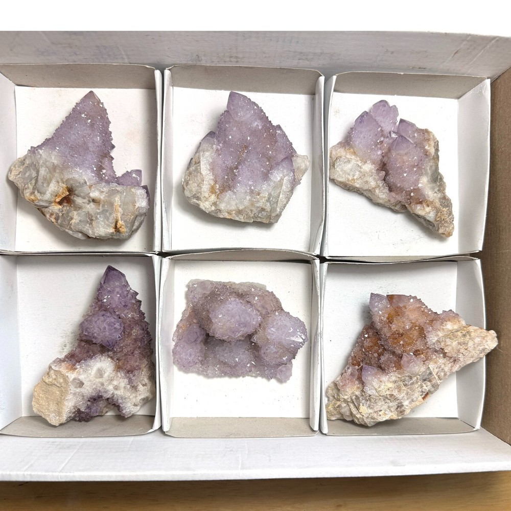 Amethyst SPIRIT QUARTZ Cactus Crystal  6 pcs TRFlat77