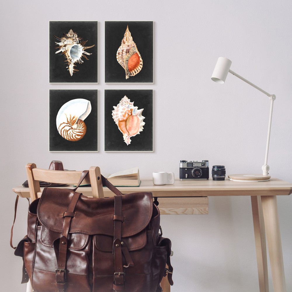 Stupell Sea Shell Clam Conch Collection Realistic Illustration 4pc Multi Piece