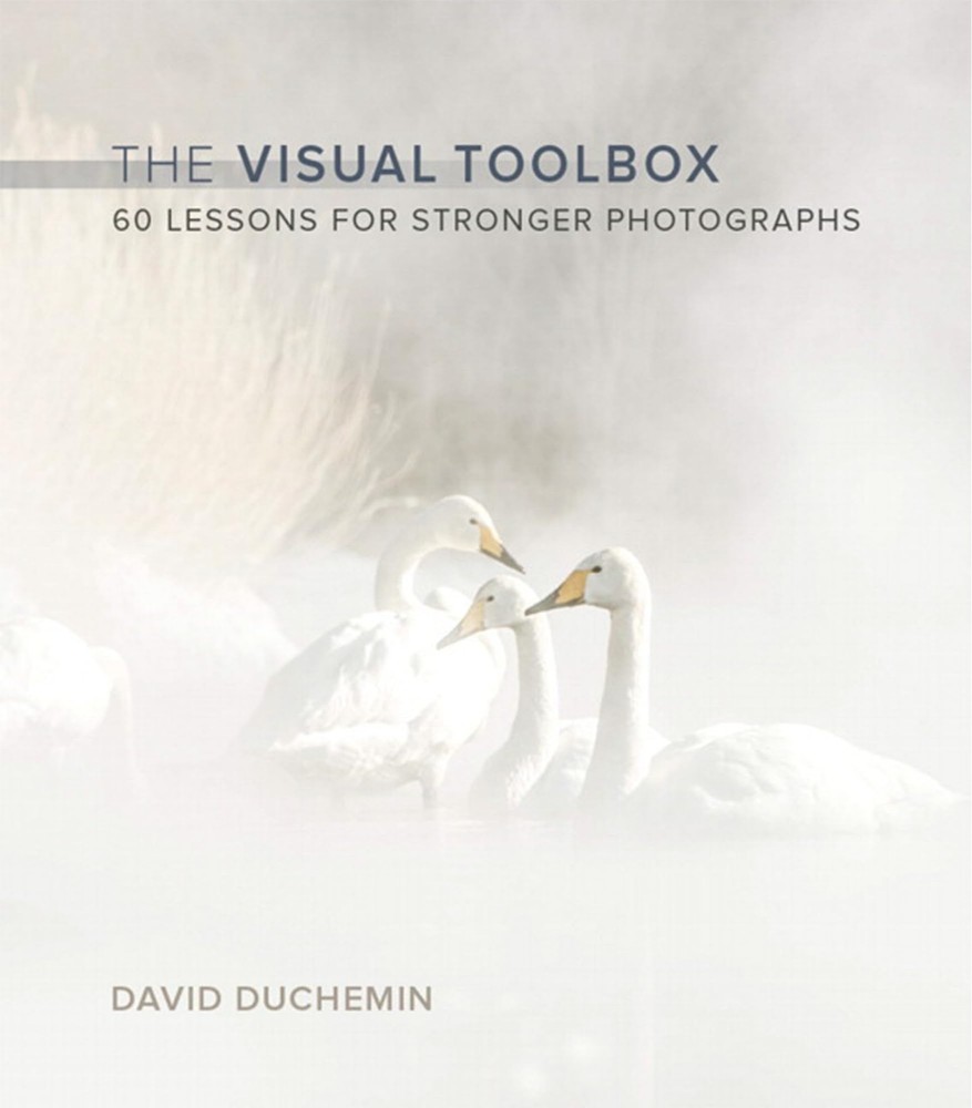 60 Essential Photography Lessons for Stunning Images – The Visual Toolbox Guide-image