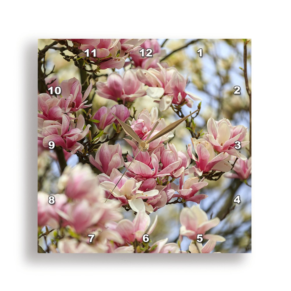 Poland Krakow Pinkie Magnolia Blossoms Wall Clock 3dRose  