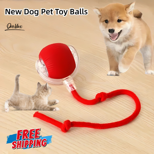 Smart Rechargeable Pet Ball-360°Rolling Toy with Bird Sounds & Motion Activation