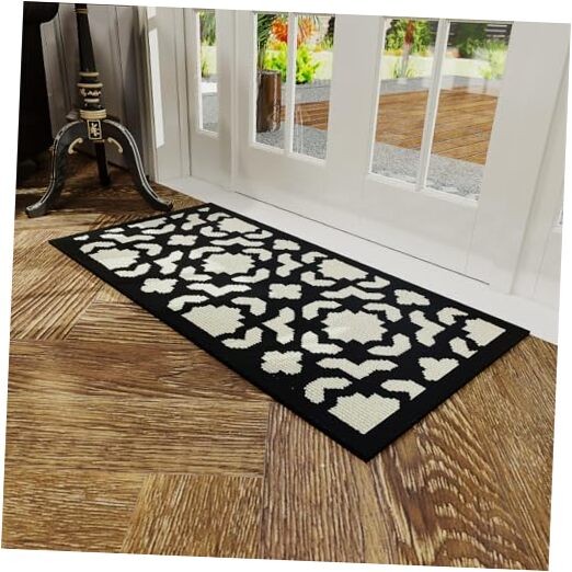 Absorbent Indoor Outdoor Front Door Mat for Muddy Paws and Pets