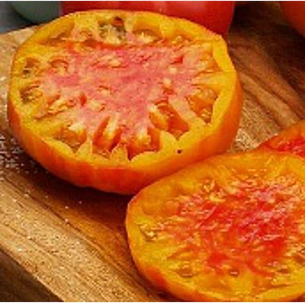 25 Seeds Virginia Sweets Tomato Seeds (More Heirloom Organic Non GMO Vegetable F