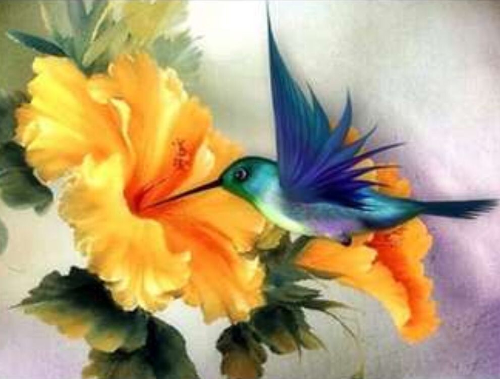 Hummingbird Diamond Painting Kits for Adults  5D DIY  Art Kits Full Drill