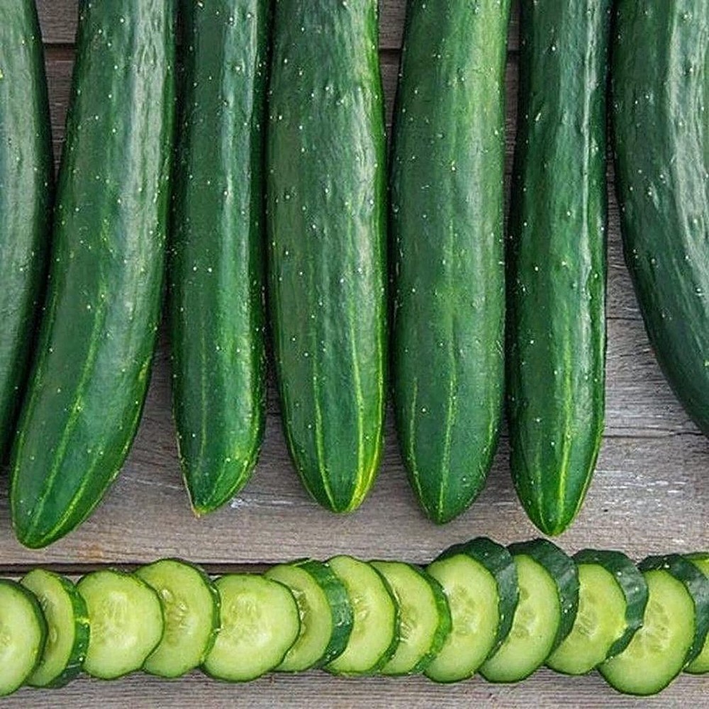25 Seeds Sweet Success Hybrid Cucumber Seeds (More Heirloom Organic Non GMO Vege