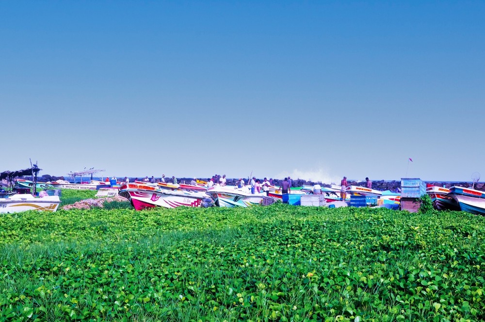 Fishermen Digital Photo Desktop Wallpaper Image #73-image