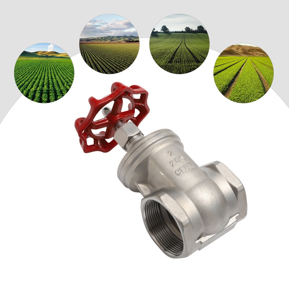 2 Inch Npt Female Threaded Gate Valve Heavy Duty Gate Valve Stainless Steel 2