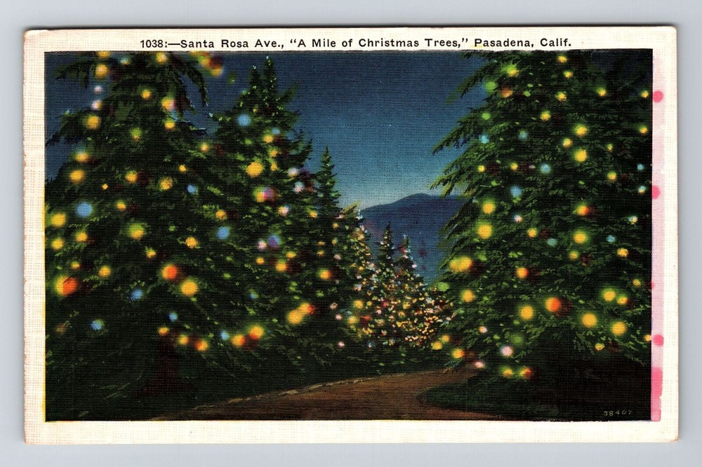 Pasadena CA-California, Santa Rosa Ave, Mile of Christmas Trees Vintage Postcard