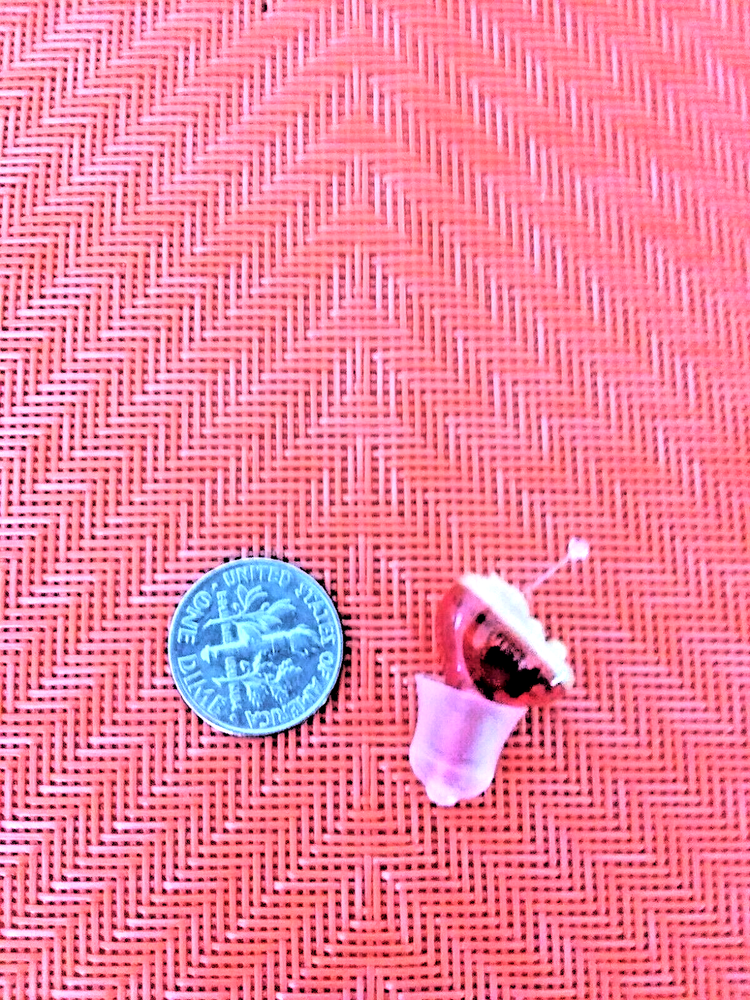 ULTRA discreet CIC hearing amplifier with 3 programs for low noise in RIGHT EAR