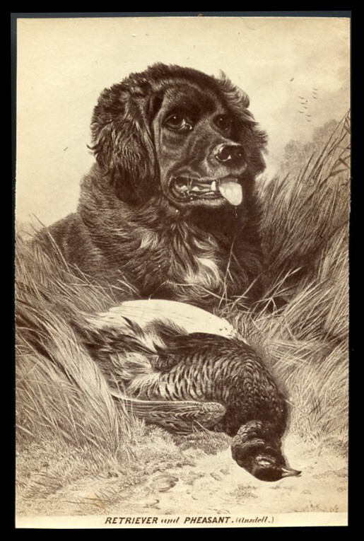 FLATCOATED RETRIEVER Flat Coat Black Dog Antique art print by Richard Ansdell
