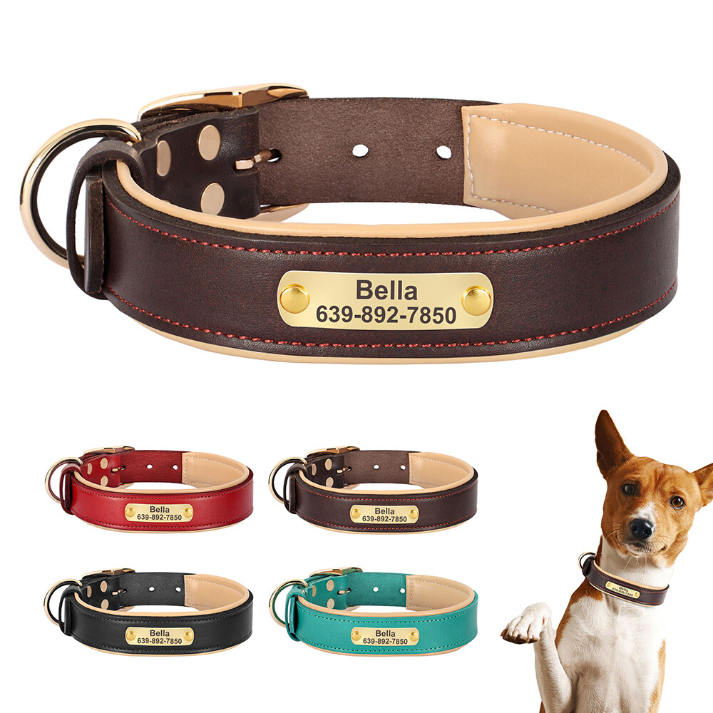 Custom Engraved Soft Padded Genuine Leather Dog Collar Sizes S-L-image
