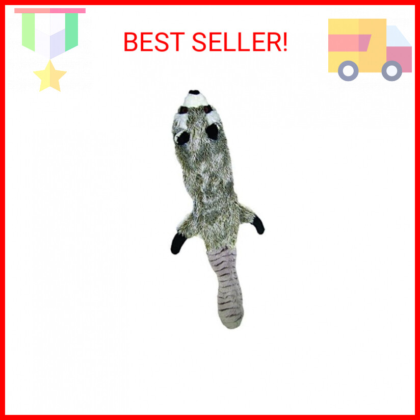 SPOT Skinneeez Stuffless Dog Toy with Squeaker | Plush Tug of War Raccoon Squeak
