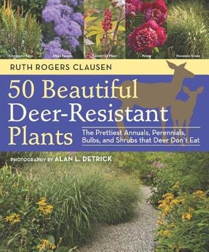 50 Beautiful Deer-Resistant Plants: The Prettiest Annuals, Perennials, Bulbs,