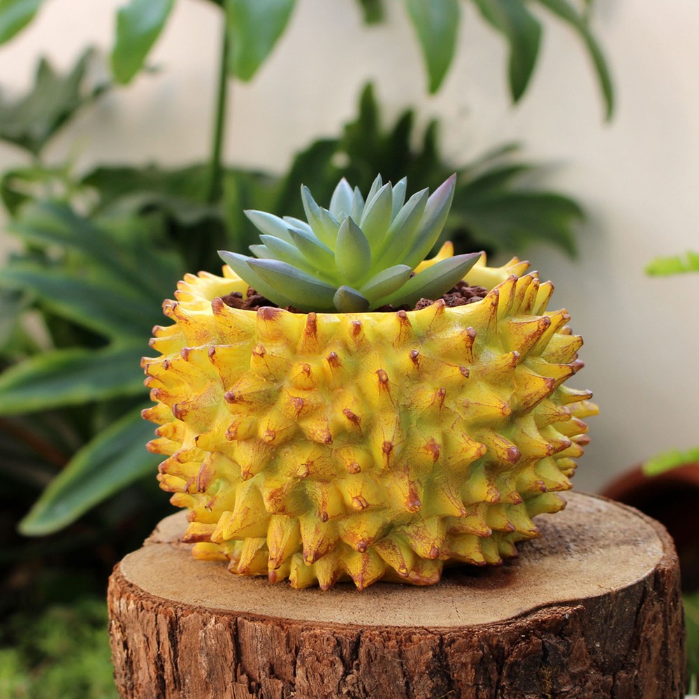 Succulent Flowerpot Durian Shaped Resin Plant Pot Desk Mini Ornament for Garden