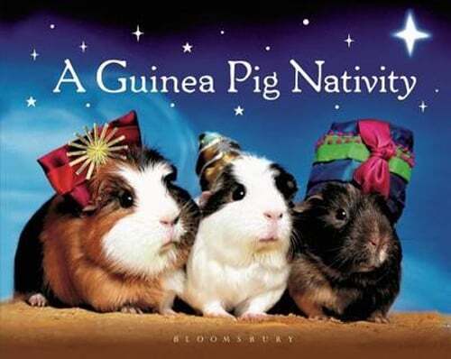 A Guinea Pig Nativity by Bloomsbury Publishing: Used