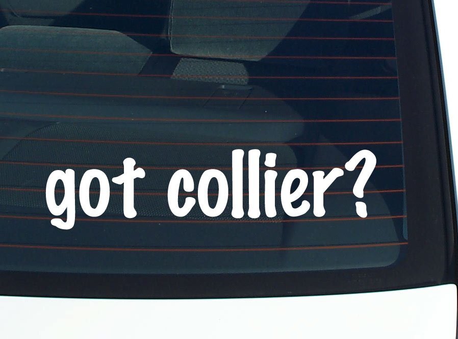 got collier? CAR DECAL BUMPER STICKER VINYL FUNNY LAST NAME WINDOW PRIDE