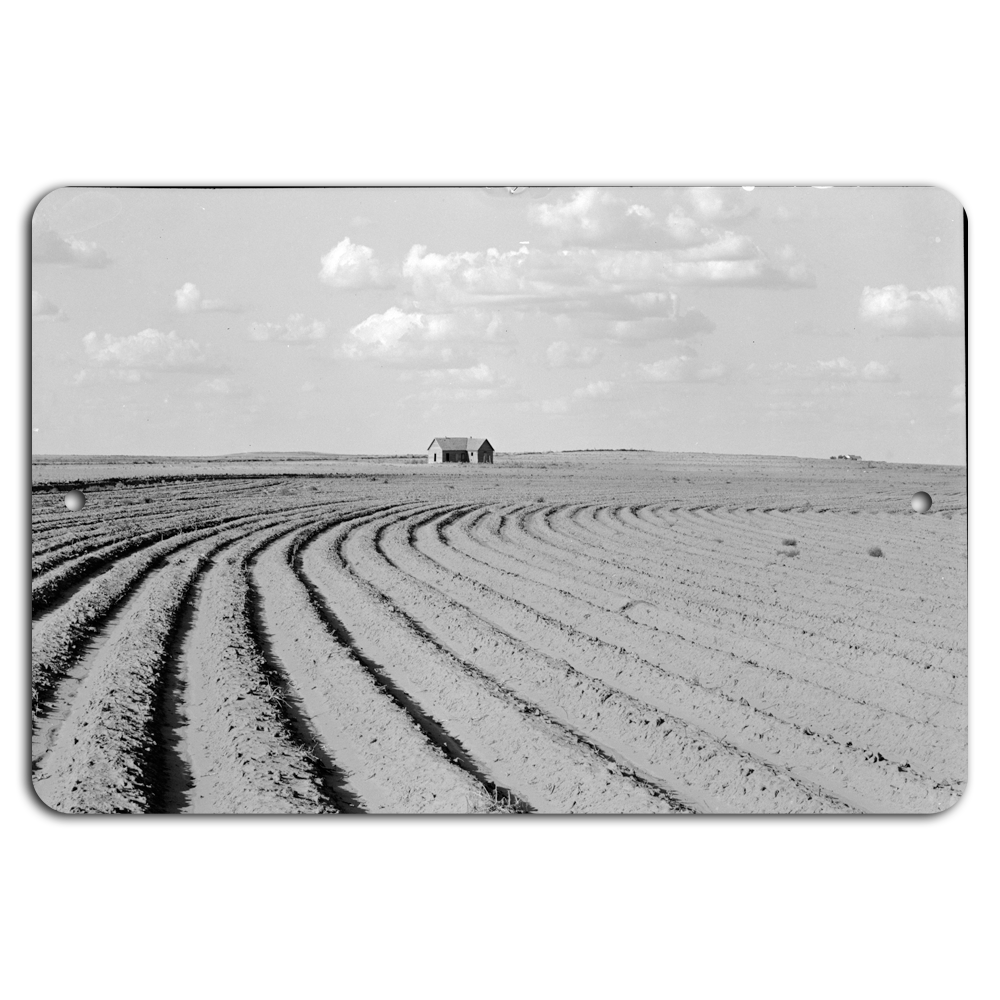 Endless Horizons: A Serene Farmhouse View