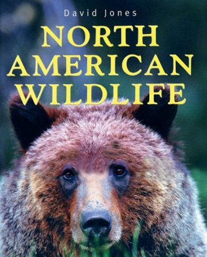 Discover North American Wildlife by David Mr. Jones – A Fresh Perspective