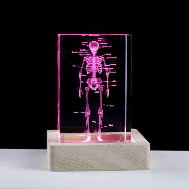 Table Lamp LED 3D Skeletal Crystal Small Multicolor Modern Novelty Touch USB