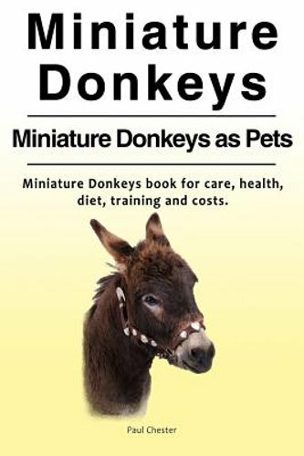 Miniature Donkeys Care Guide Keeping Miniature Donkeys as Pets