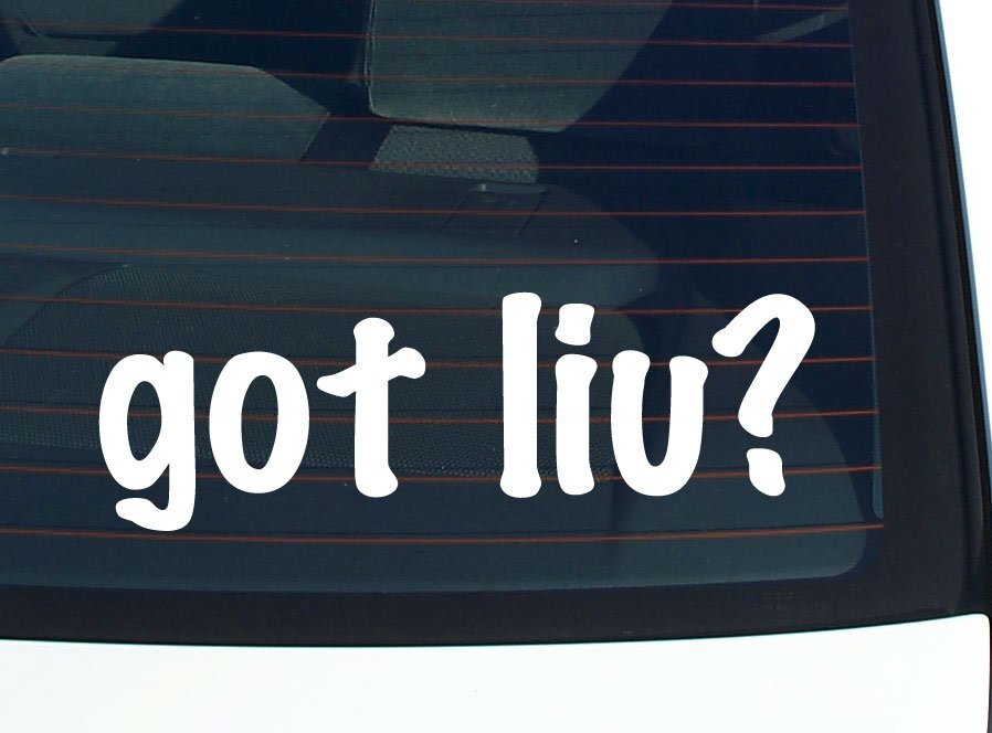 got liu? CAR DECAL BUMPER STICKER VINYL FUNNY LAST NAME WINDOW PRIDE