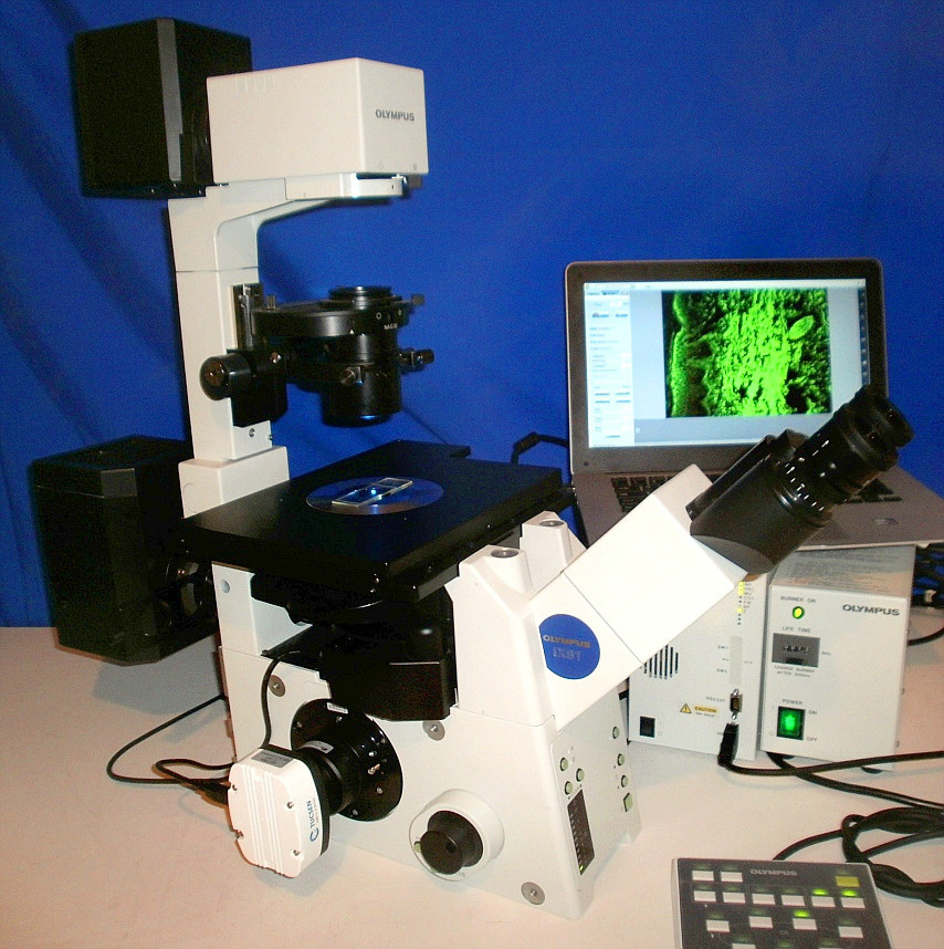 Olympus IX81 F-3 Microscope Inverted Fluorescence Automated Live cell Microscope-image