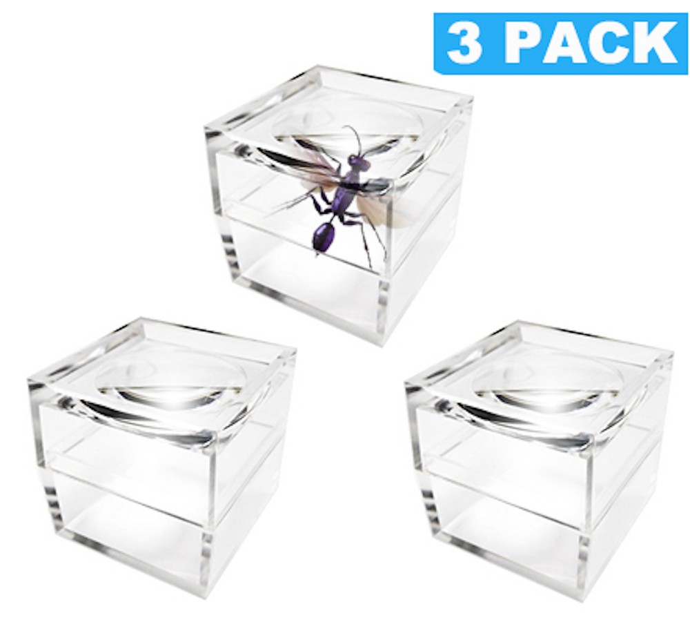 Pack of 3 Magnifier Box Bug Viewer Magnifies up to 5X(500%) with Crystal Clear