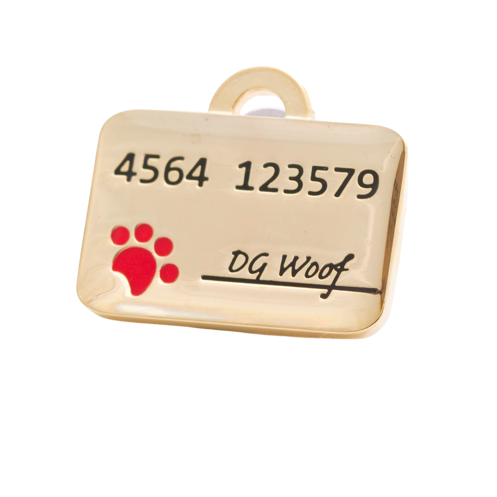 Credit Card Pet ID Tag-image
