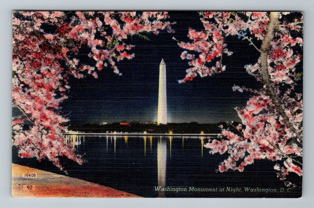 Washington DC Monument Night Cherry Blossoms Vintage Postcard