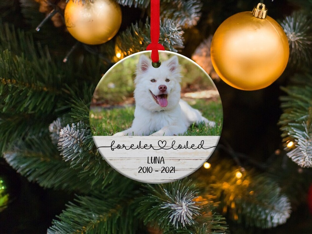 Custom Memorial Dog Ornament with Photo - Forever Loved Pet Gift-image