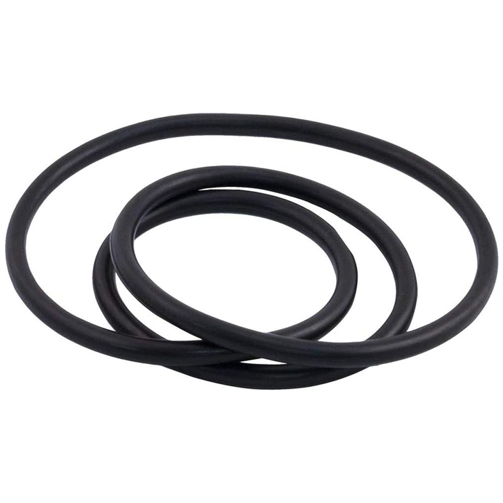 For Pentair Tank O-Ring for Clean and Clear Plus CCP320 CCP420 CCP520 - 39010200