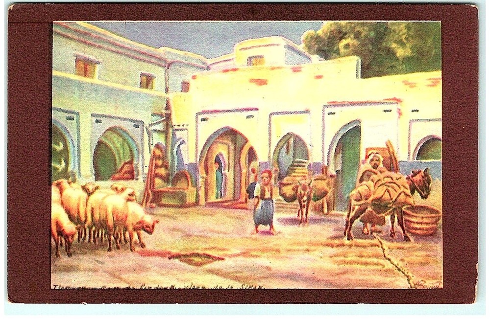 S01-9172, L'ALGERIE, *VINTAGE POSTCARD