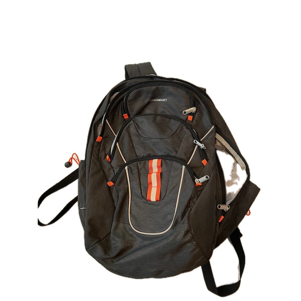 Bagsmart 4 Section Travel Padded Computer Backpack