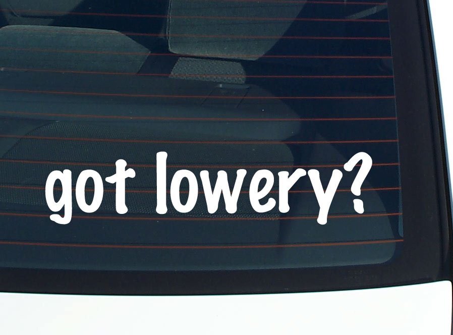 got lowery? CAR DECAL BUMPER STICKER VINYL FUNNY LAST NAME WINDOW PRIDE