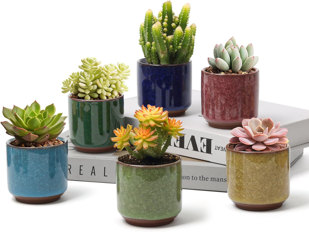 2.5 Inch Small Ceramic Succulent Planter Pot with Drainage Hole Set of 6, Ice Cr