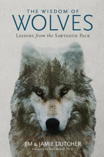 The Wisdom of Wolves by Jim Dutcher Insights from the Sawtooth Pack New Edition