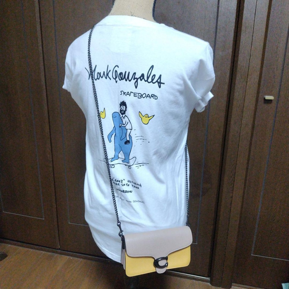 Coach Tabby Chain Colorblock Shoulder Bag