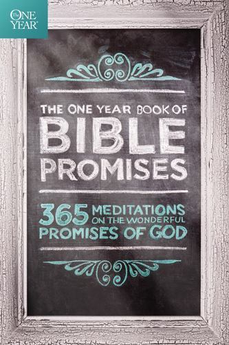 365 Bible Promises Daily Devotional by James Stuart Bell - Trade Paperback 2014