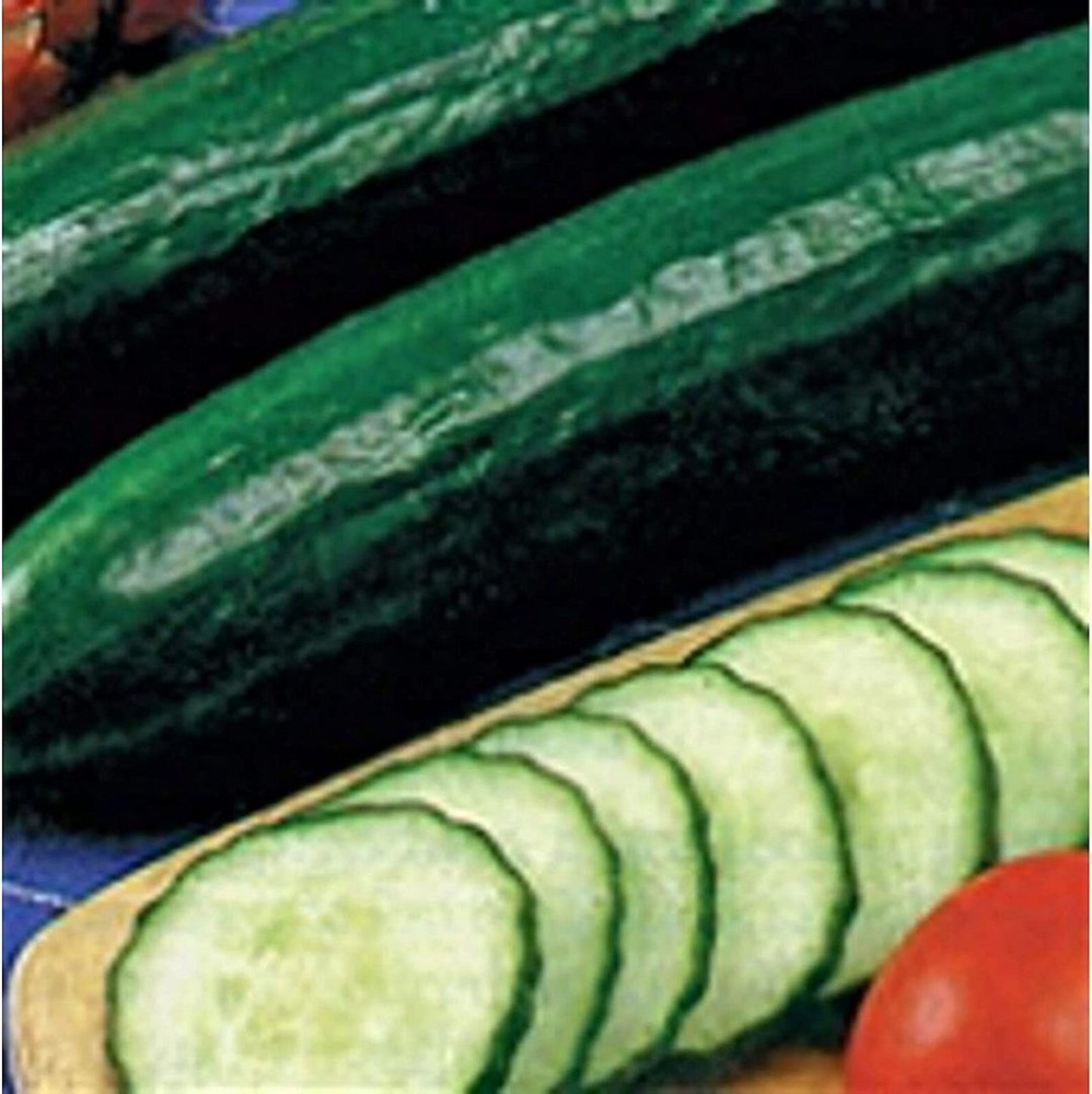 25 Seeds Sweet Slice Cucumbers Seeds (More Heirloom Organic Non GMO Vegetable Fr