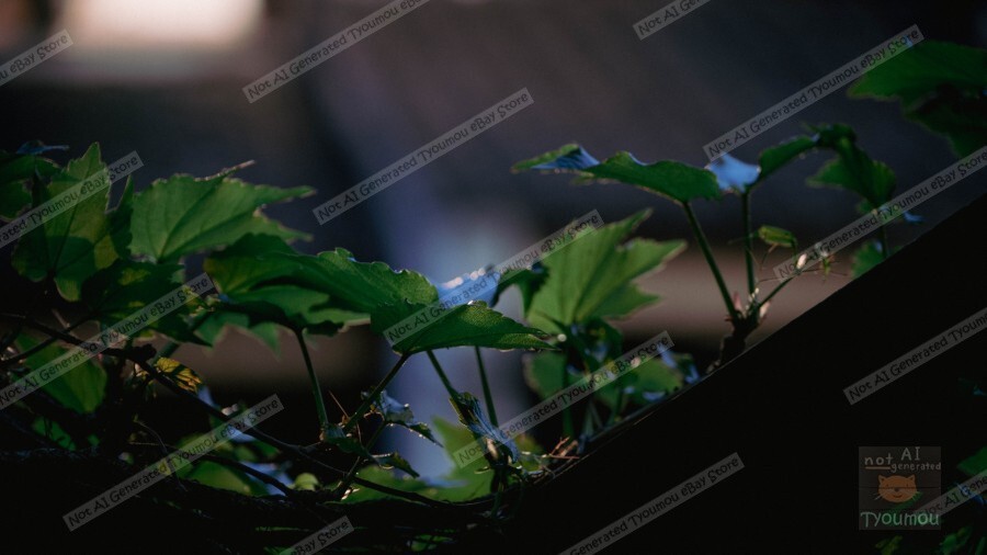 Water Town Spring 2025 Digital Wallpaper by Tyoumou P55-image