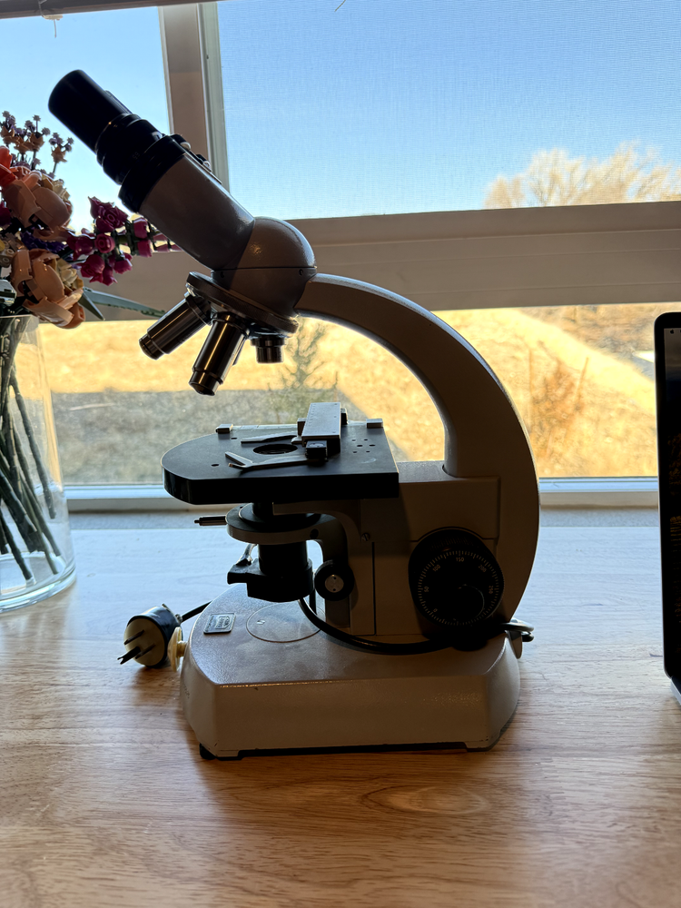 Carl Zeiss Standard Microscope 4x Achromatic Objectives Brightfield Functionality