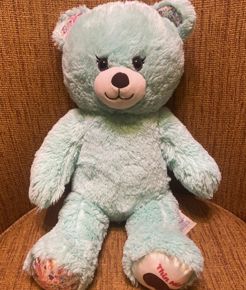 Build A Bear Girl Scouts Thin Mint 16