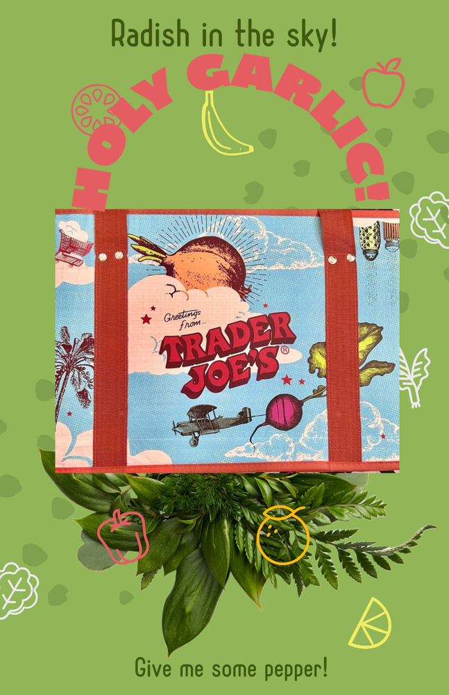 NEW Trader Joe's Stand-Up Collapsible Grocery Tote Sturdy Hard Sides NWT