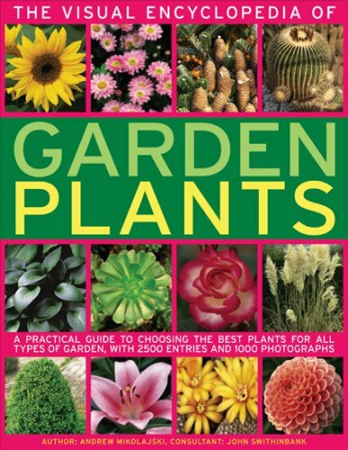 Practical Guide to Garden Plants in The Visual Encyclopedia-image