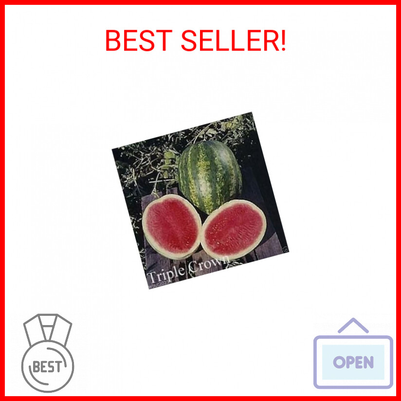 Triple Crown Hybrid Seedless Watermelon Seeds - Sweet Red Variety