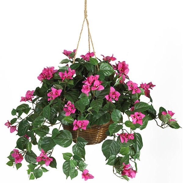 Bougainvillea Silk Hanging Basket with Lush Green Foliage